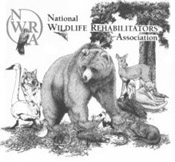 National Wildlife Rehabilitators Association