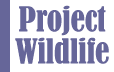 Project Wildlife