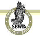 South Bay Wildlife Rehab